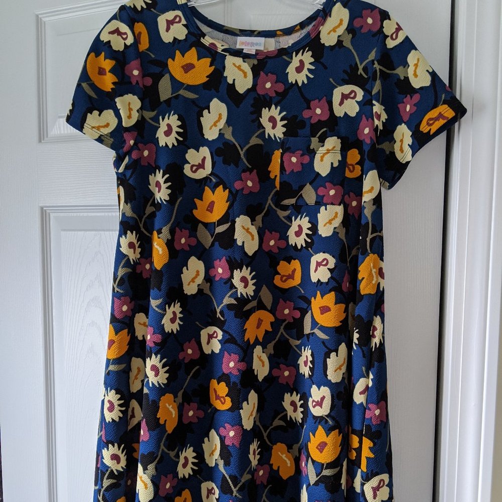 LulaRoe Carly Dress